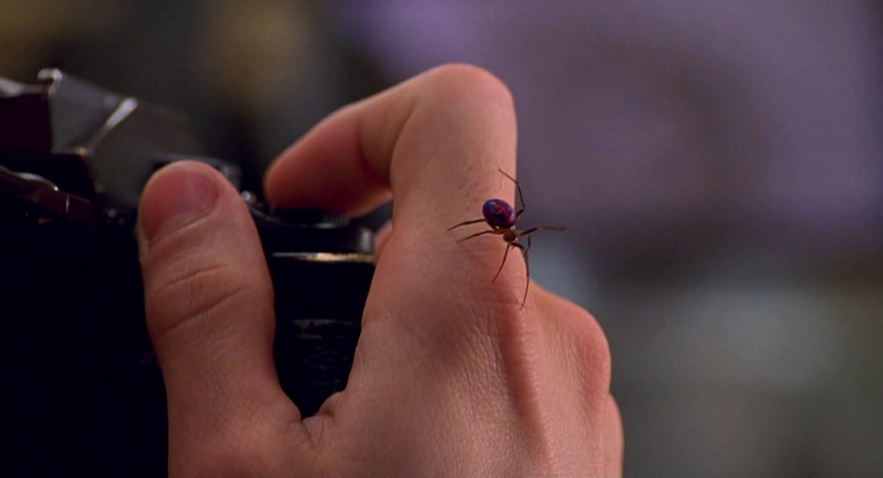 Spider man bi nhen can anh moi 1